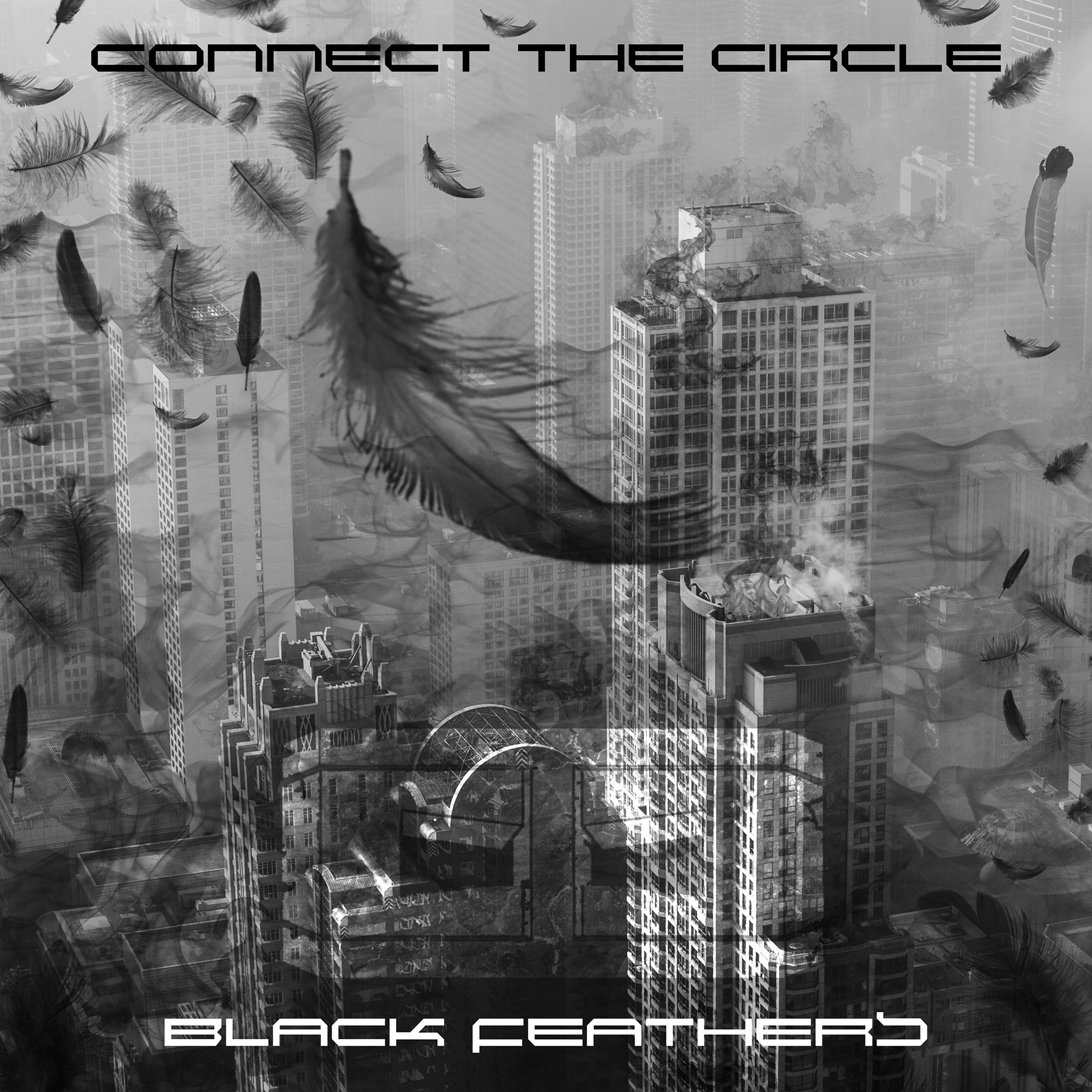 Black feathers